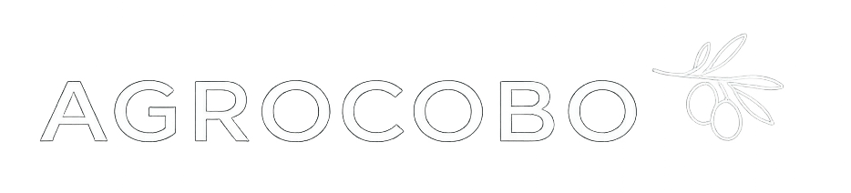Logotipo fondo transparente